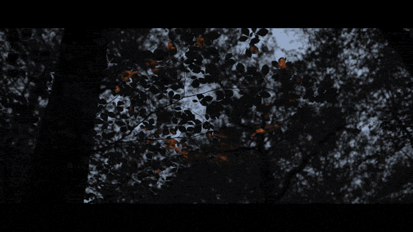 63e36023abd05.gif